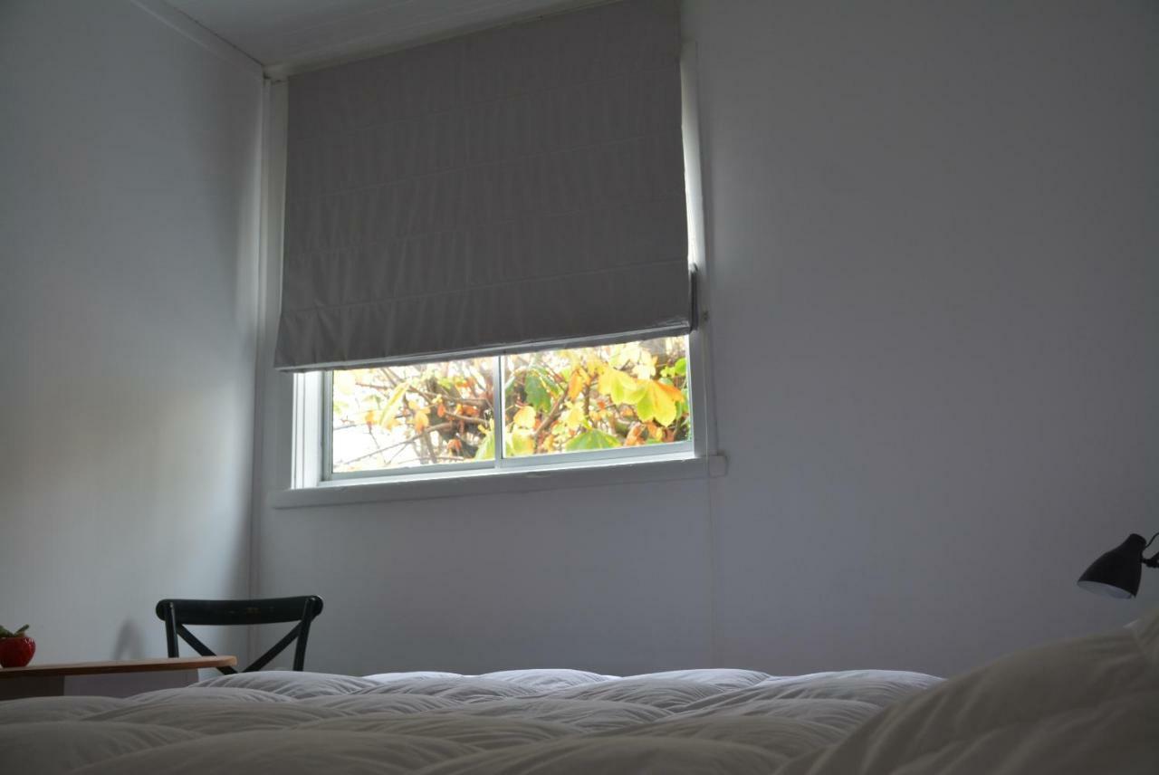 Casa Kila Hostel Valdivia Ngoại thất bức ảnh